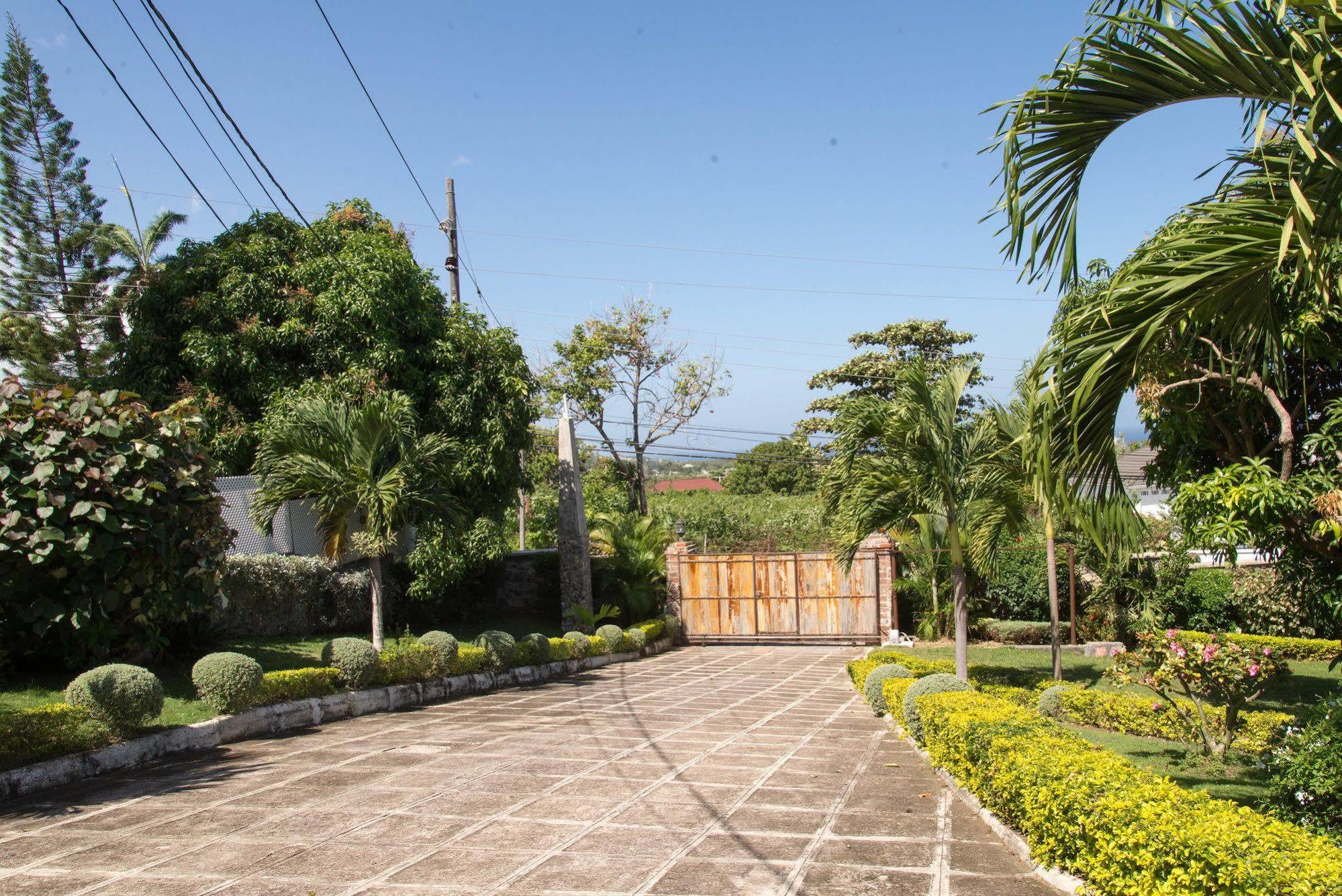 Hatfield South Villa Montego Bay Exteriér fotografie